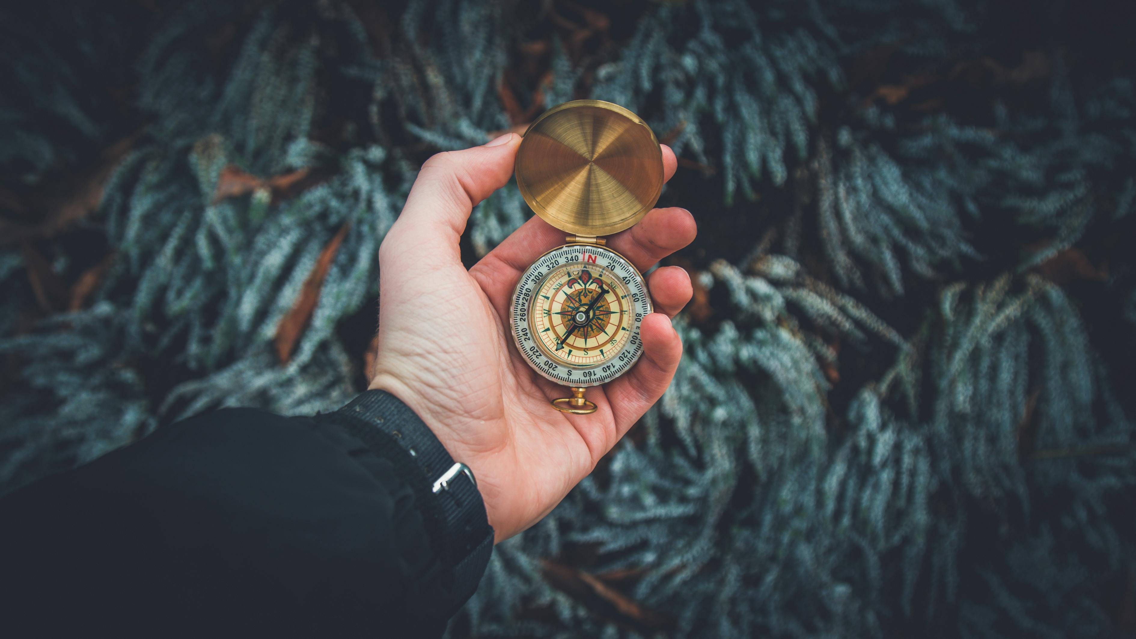 黃金之夢，探索夢境中的無盡財(cái)富