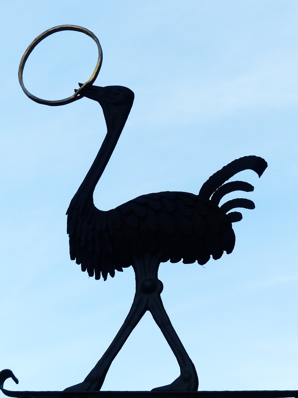 夢(mèng)中的魚(yú)咬人，解讀與解析