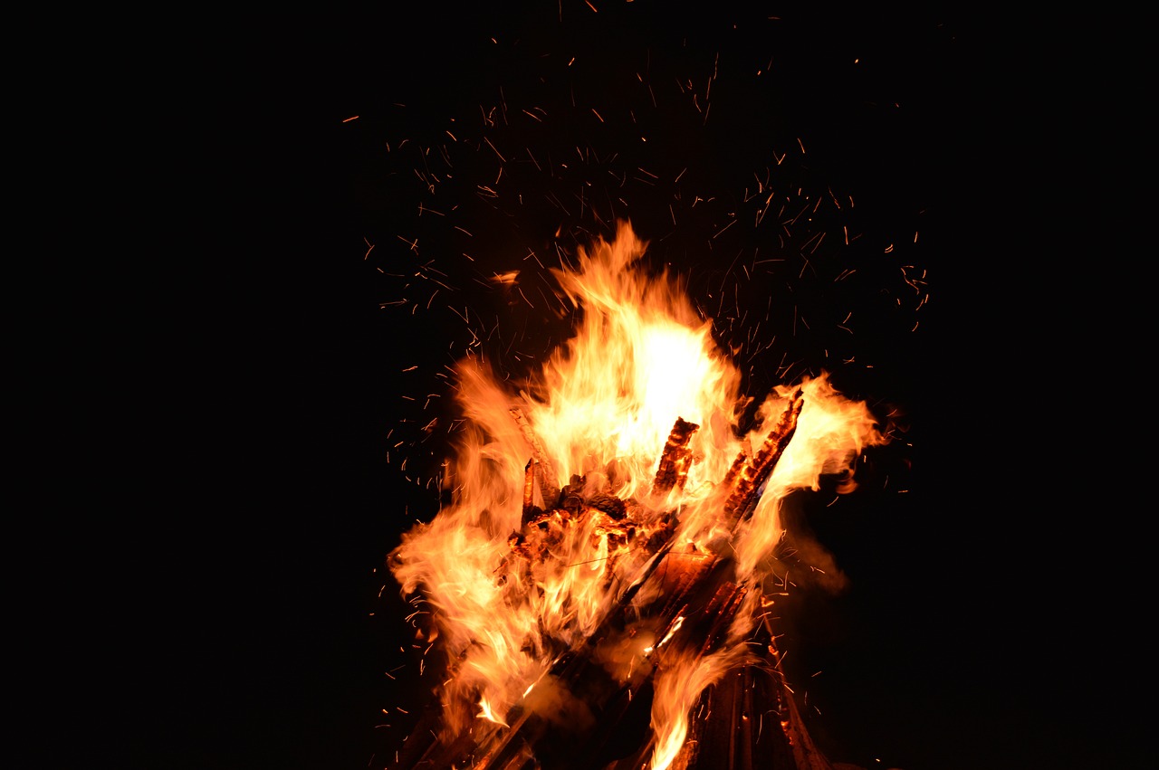夢(mèng)中的虎影，一次與猛虎的較量
