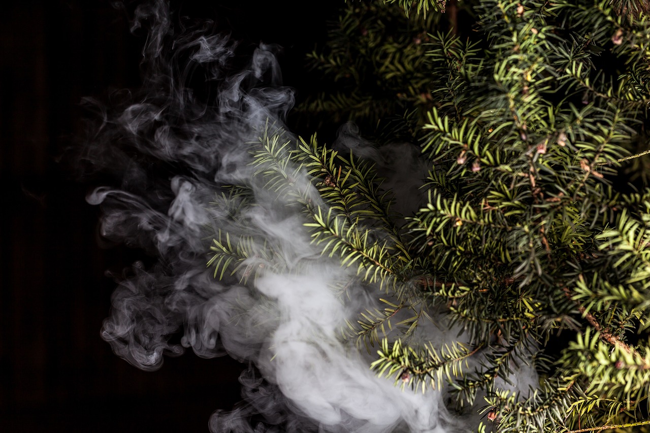 蒸汽朋克風(fēng)格的植物大戰(zhàn)僵尸,植物刺客,一款無(wú)需付費(fèi)的游戲 蒸汽朋克風(fēng)格的植物大戰(zhàn)僵尸,植物刺客,一款無(wú)需付費(fèi)的游戲