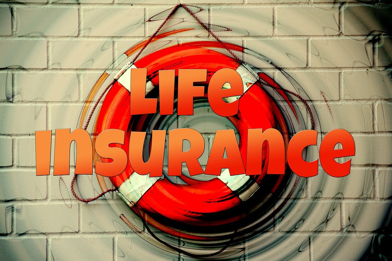 bit life，一款讓你暢享在線游戲樂(lè)趣的免費(fèi)游戲