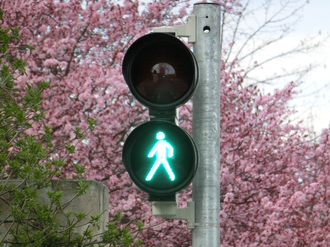 新車輪胎發(fā)黃的原因是什么？如何預(yù)防和處理這一問(wèn)題？