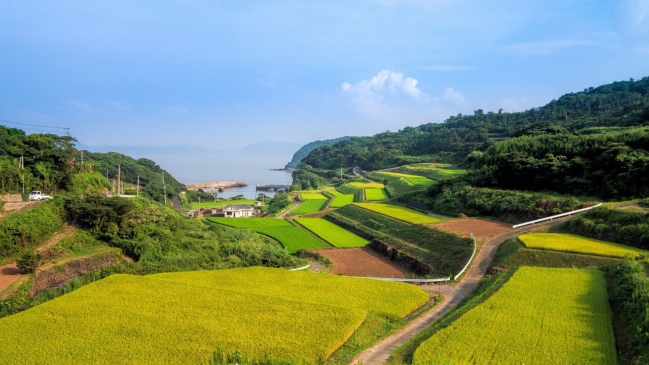 湘西網(wǎng)站流量，助力鄉(xiāng)村振興的數(shù)字引擎