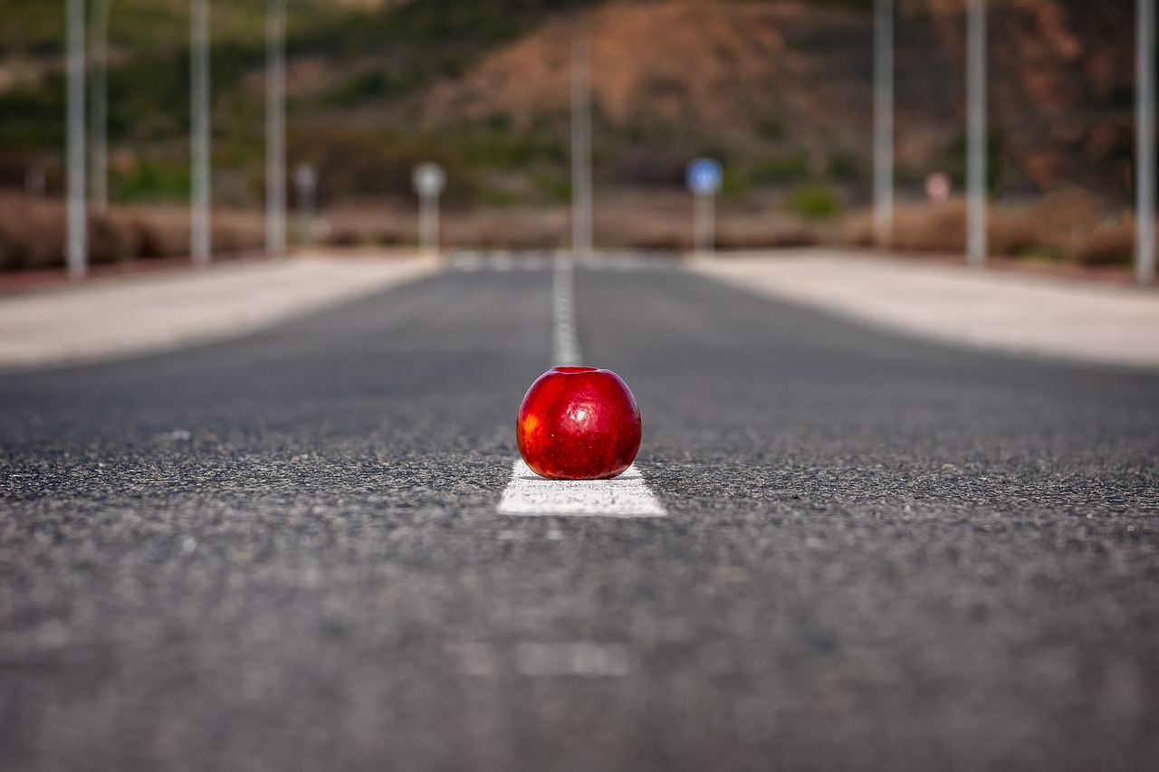 從零開始學SEO，一步步走向成功的道路