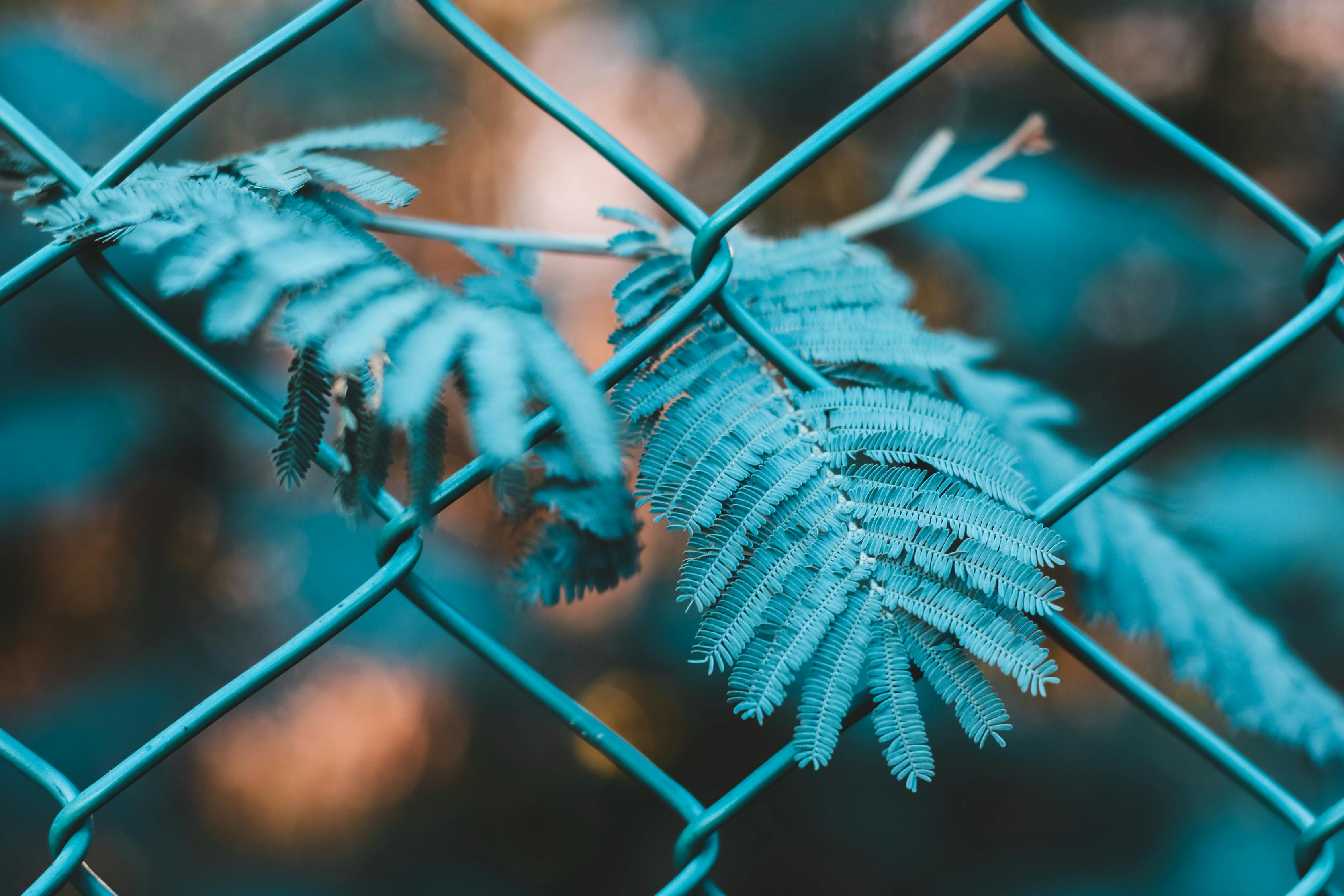 國外網(wǎng)站如何利用谷歌SEO進行有效推廣，谷歌SEO攻略，國外網(wǎng)站高效推廣秘籍
