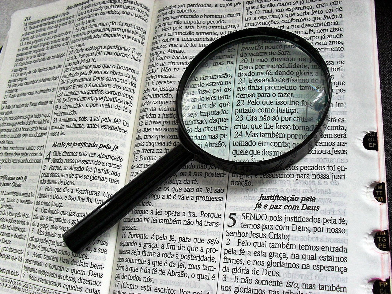 深入解析，如何使用Go語言高效搭建網(wǎng)站