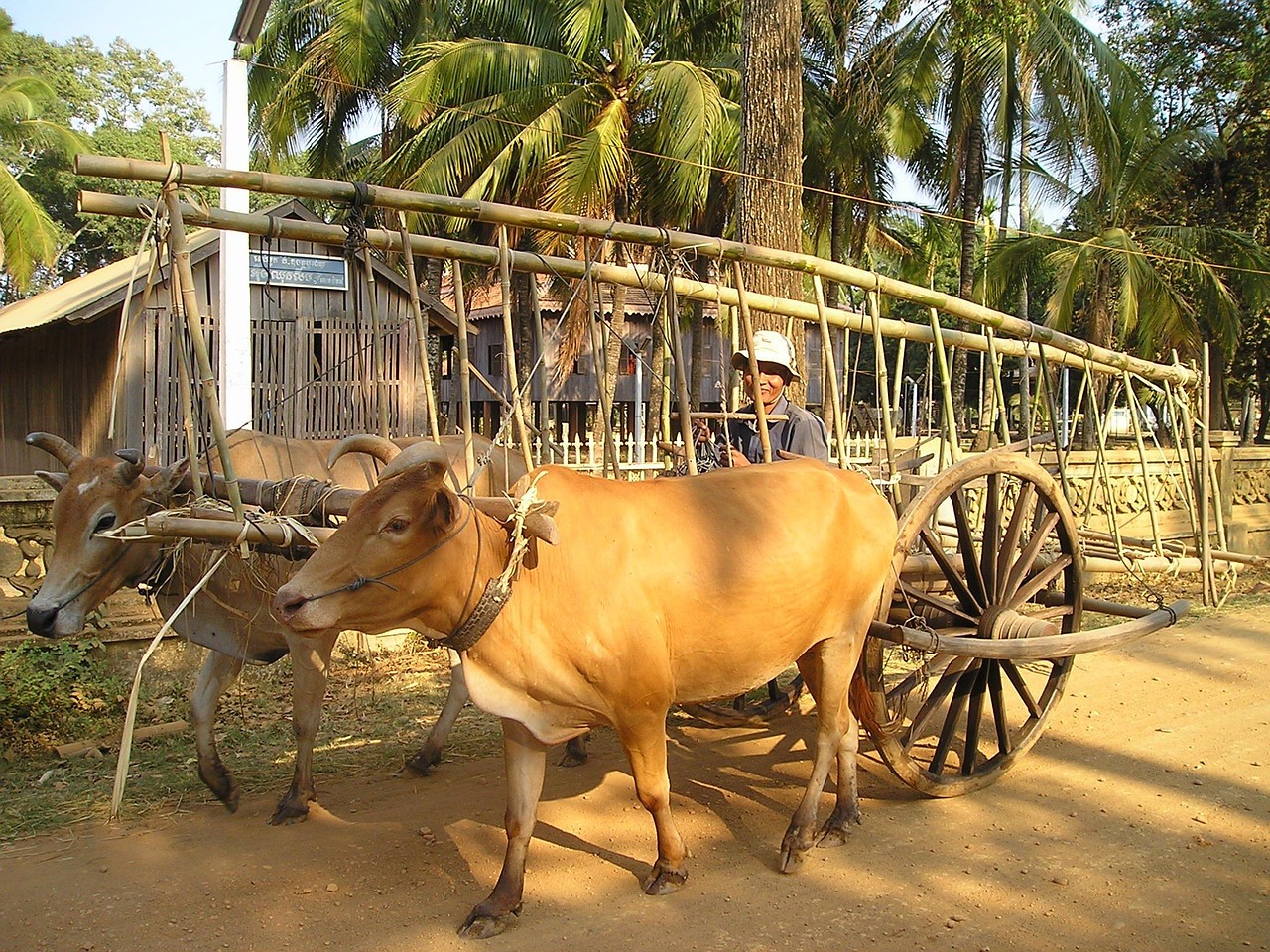 石嘴山農(nóng)產(chǎn)品網(wǎng)站搭建，助力鄉(xiāng)村振興，打造區(qū)域特色品牌