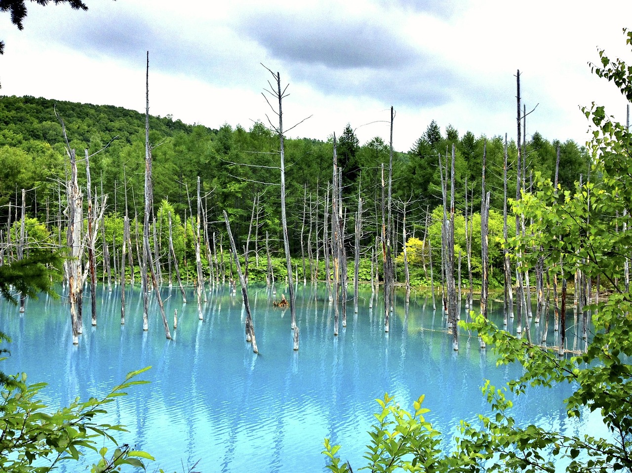 夢中邂逅，那片美麗的風景