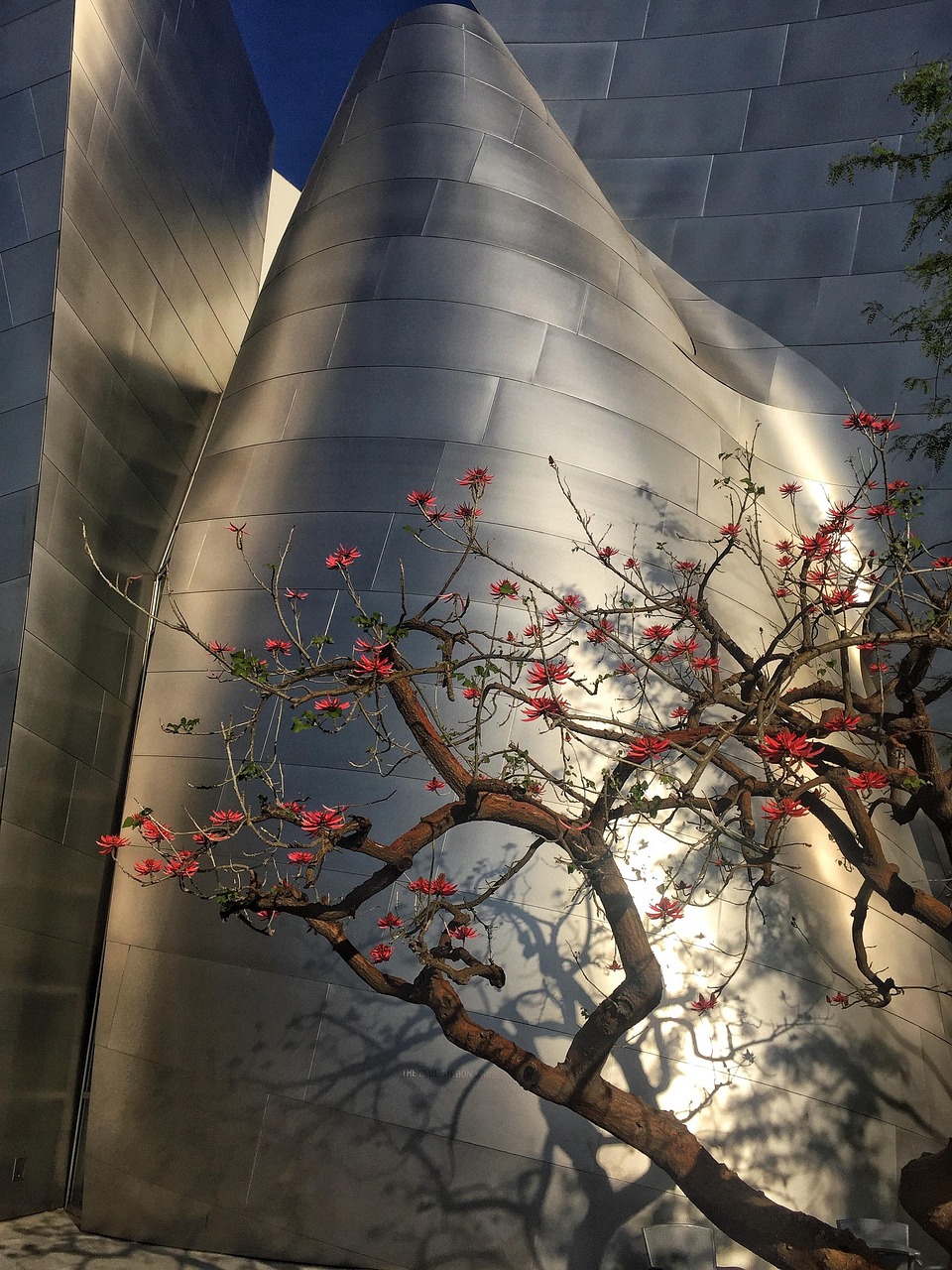 夢(mèng)境中的槍聲，一次自我反思的旅程