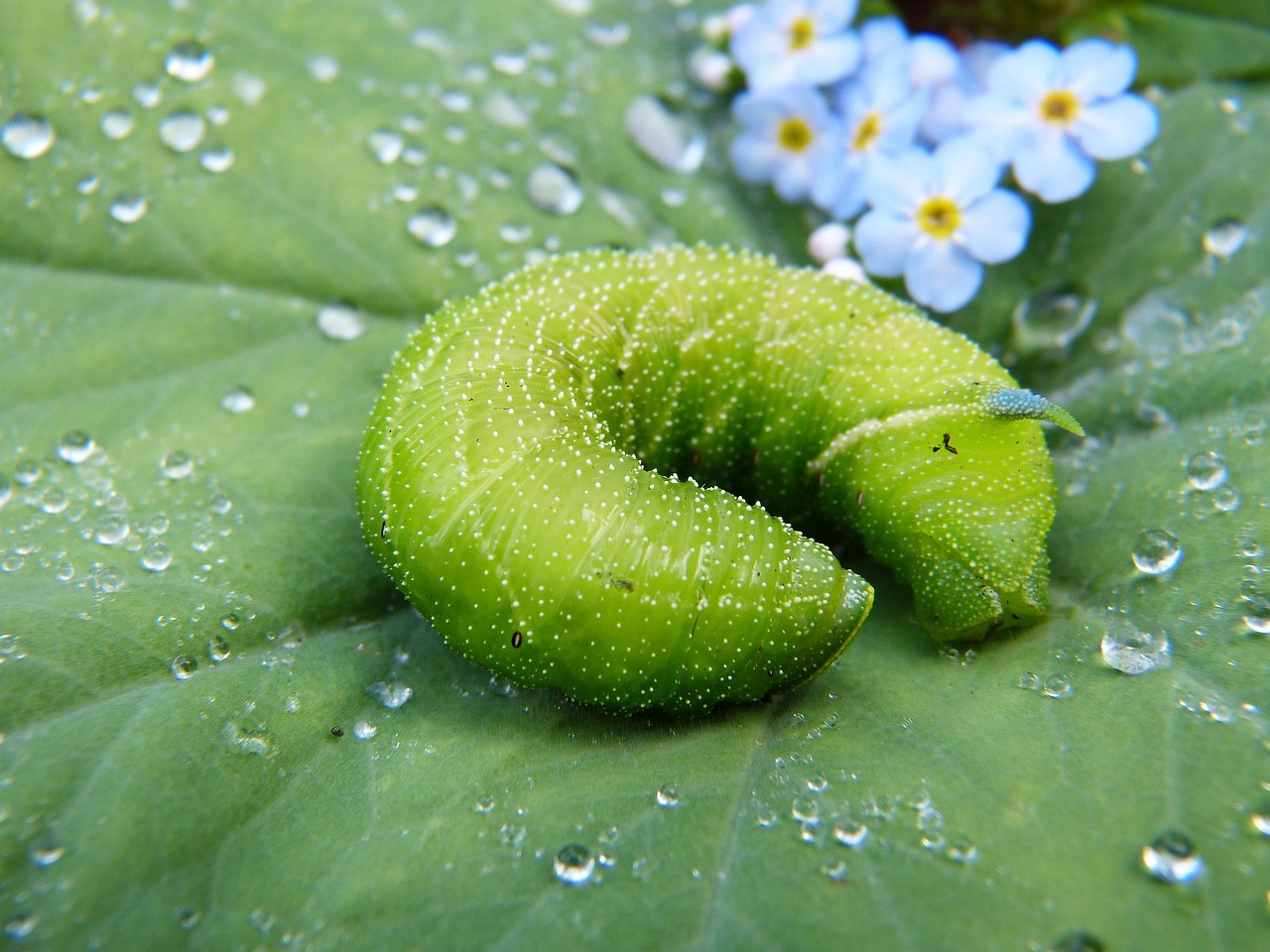 綠色環(huán)保，從注冊(cè)綠色開始—綠色平臺(tái)注冊(cè)指南