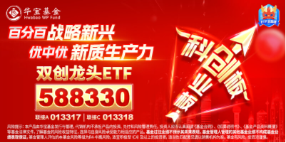 創(chuàng)業(yè)板指領(lǐng)漲！兩市成交額超1.15萬億元，硬科技寬基——雙創(chuàng)龍頭ETF（588330）盤中漲逾3.2%