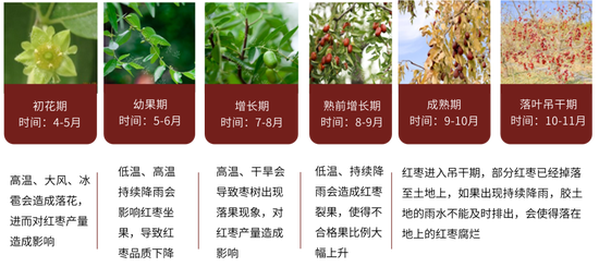 紅棗：宏觀回暖支撐，基本面改善暫有限