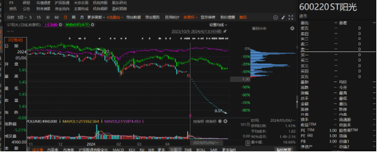江蘇陽光有非經(jīng)營性資金占用和業(yè)績預(yù)告變臉！
