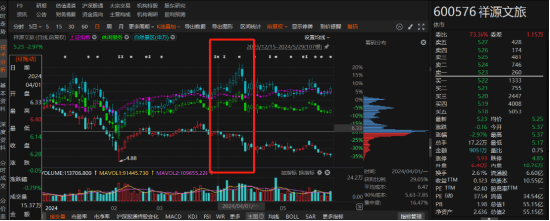 祥源文旅非經(jīng)營性資金占用雖已歸還，但仍被出具警示函！