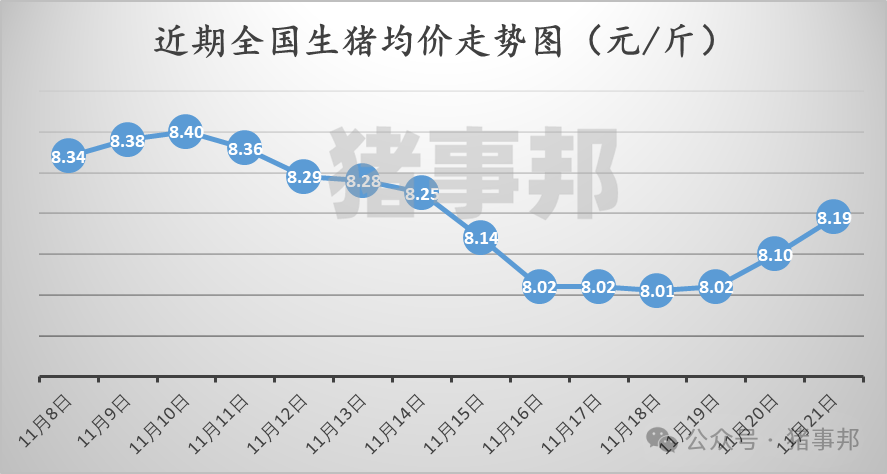 11月21日豬價匯總(繼續(xù)普漲,但情緒分化!)