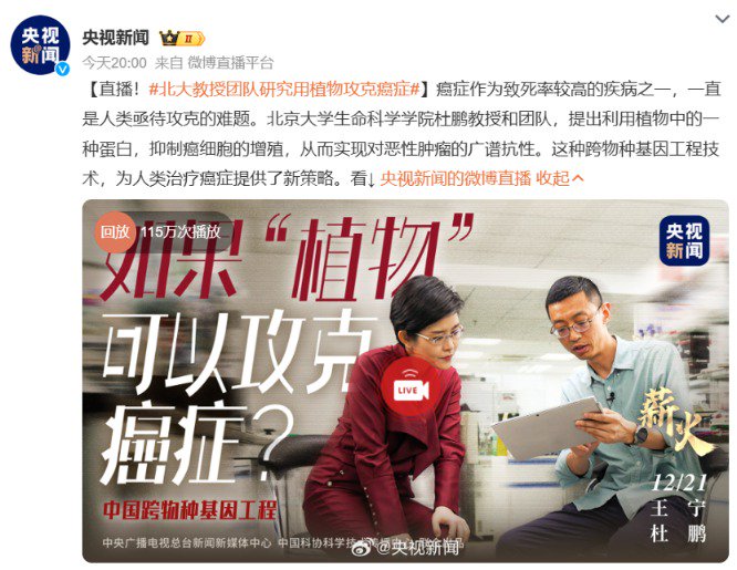 重大突破 央視重點報道！北大教授團隊研究用植物攻克癌癥