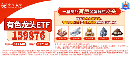 有色蓄勢高飛！有色龍頭ETF（159876）盤中逆市漲超3%！銅、金、鋁攜手上攻，北方銅業(yè)漲停封板