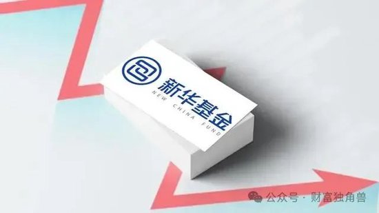 新華基金賴(lài)慶鑫在管7只基金6只虧損，高位持有國(guó)聯(lián)股份被質(zhì)疑