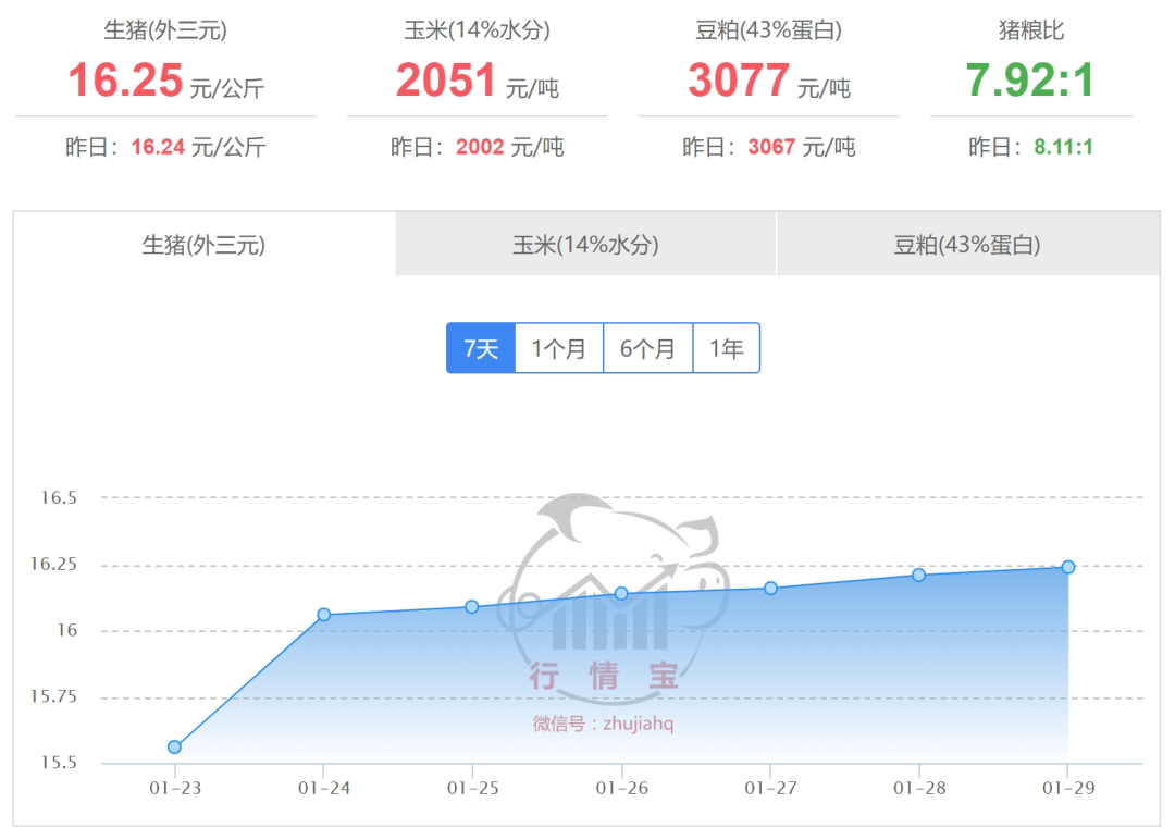 2025年1月30日國內(nèi)生豬價(jià)格一覽