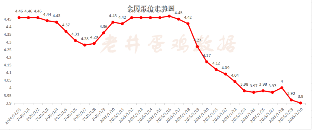 老井扯雞蛋：昨日全國雞蛋均價(jià)、淘汰雞均價(jià)均偏弱！