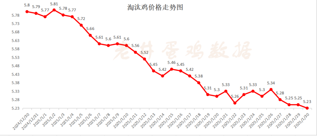 老井扯雞蛋：昨日全國雞蛋均價(jià)、淘汰雞均價(jià)均偏弱！