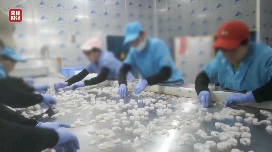 3·15晚會(huì)丨“保水蝦仁”，浮出水面！1斤蝦仁7兩冰……