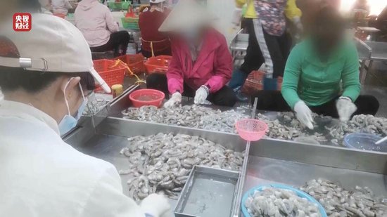 3·15晚會(huì)丨“保水蝦仁”，浮出水面！1斤蝦仁7兩冰……