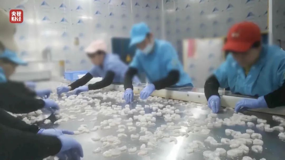 查封！關停！各地多部門連夜查處3·15曝光問題