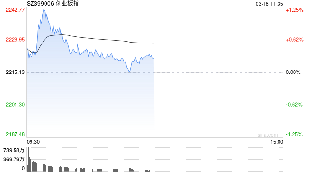 午評(píng)：創(chuàng)指半日漲0.29% 有色、超充概念盤中活躍