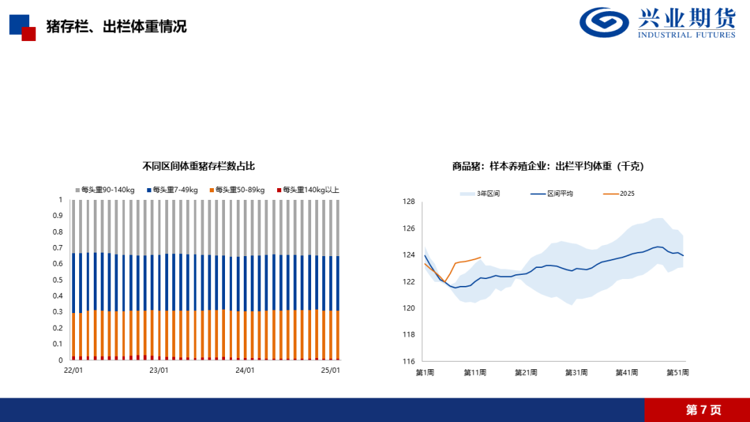【興期研究·品種聚焦】生豬：消費需求預計改善，下方仍有支撐