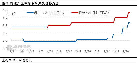 卓創(chuàng)資訊：清明節(jié)市場(chǎng)需求良好 產(chǎn)地蘋果價(jià)格上漲