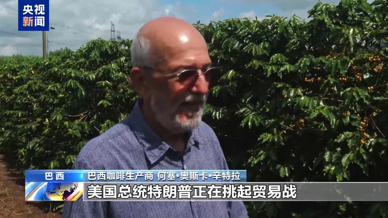 美關(guān)稅新政推高巴西咖啡成本 行業(yè)人士稱貿(mào)易戰(zhàn)無(wú)贏家