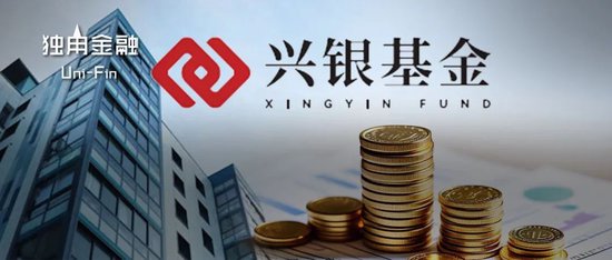 從“千億神話”到縮水190億，金融“女將”辭任興銀基金董事長