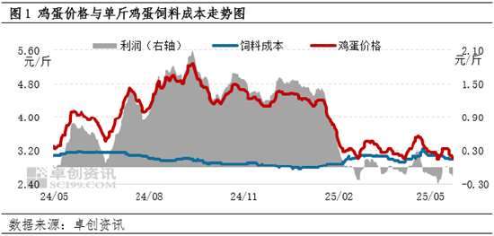 “蛋”說(shuō)無(wú)妨：供強(qiáng)需弱　蛋雞養(yǎng)殖陷入虧損