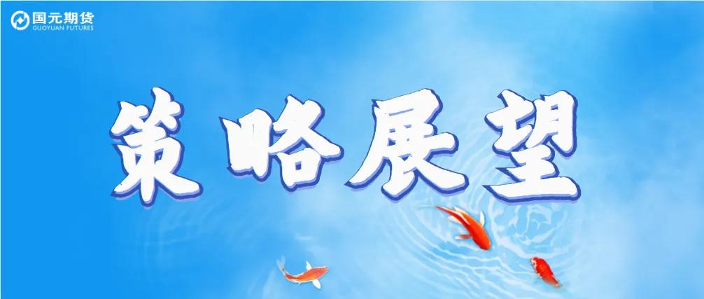 【豆粕&菜粕半年報】貿易不確定性仍存，下半年先抑后揚